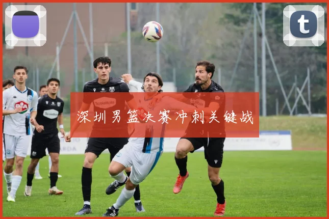 深圳男篮决赛冲刺关键战