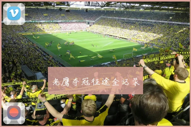老鹰夺冠征途全记录