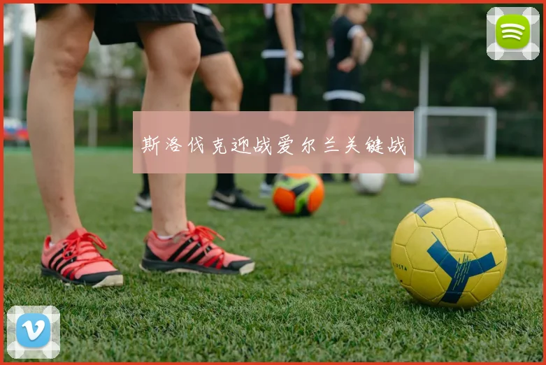 斯洛伐克迎战爱尔兰关键战