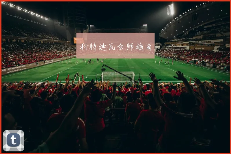 科特迪瓦会师越南