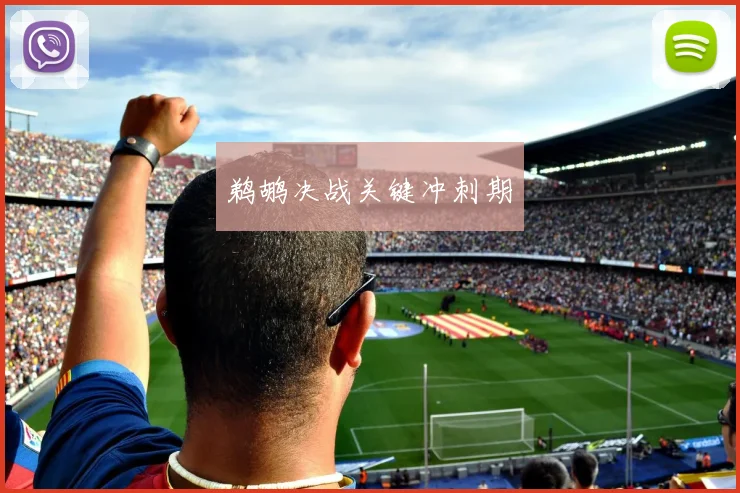 鹈鹕决战关键冲刺期