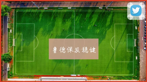 鲁德保发稳健