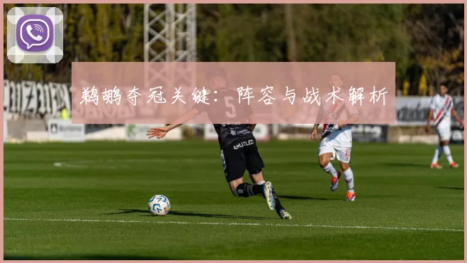 鹈鹕夺冠关键:阵容与战术解析