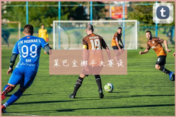 莱巴金娜半决赛夜