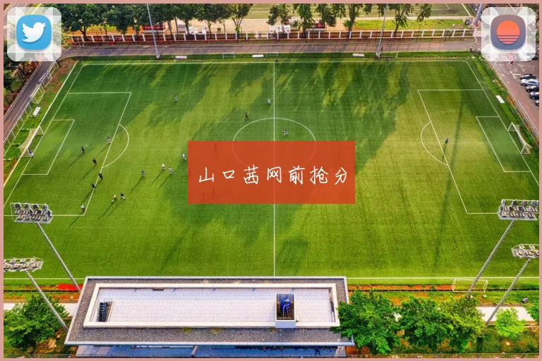 山口茜网前抢分