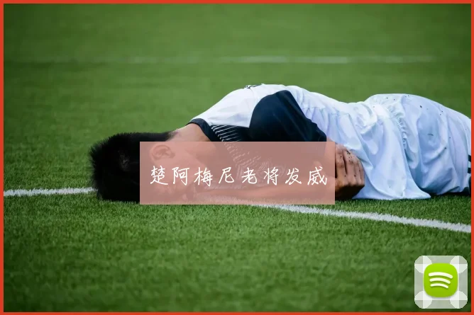 楚阿梅尼老将发威