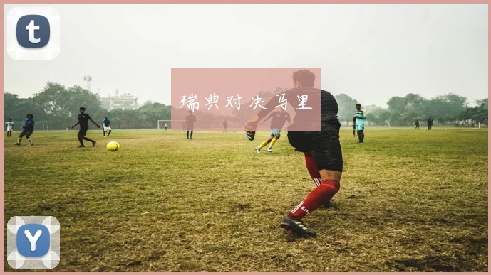 瑞典对决马里