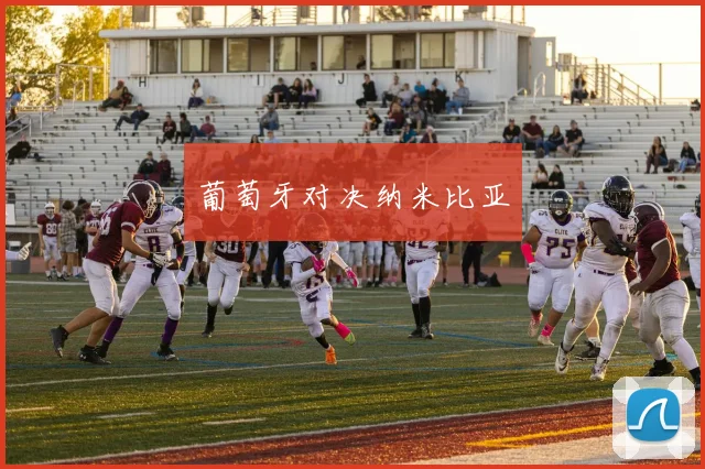 葡萄牙对决纳米比亚