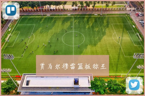 贾马尔穆雷篮板称王
