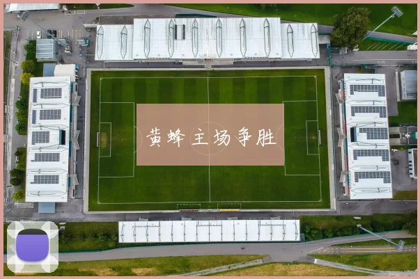 黄蜂主场争胜
