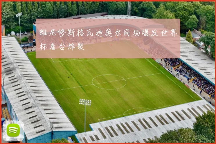 维尼修斯格瓦迪奥尔同场爆发世界杯看台炸裂