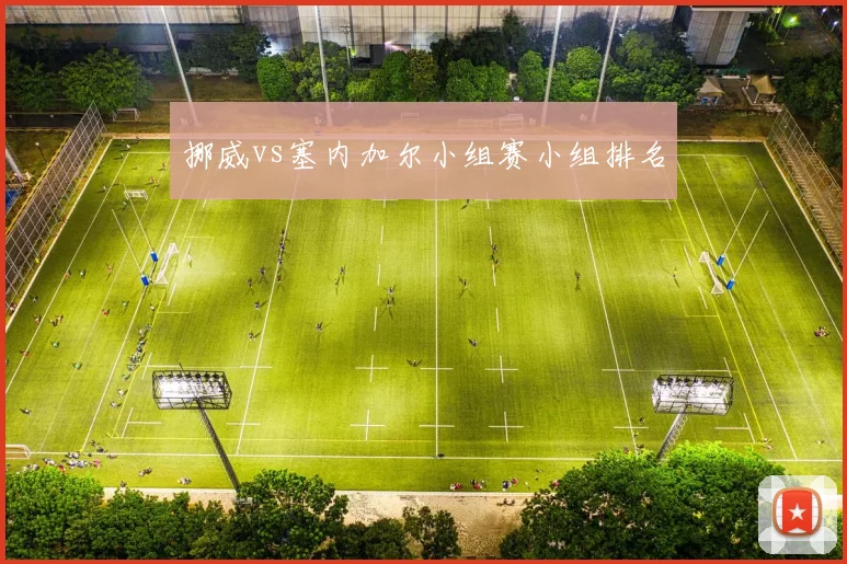 挪威vs塞内加尔小组赛小组排名
