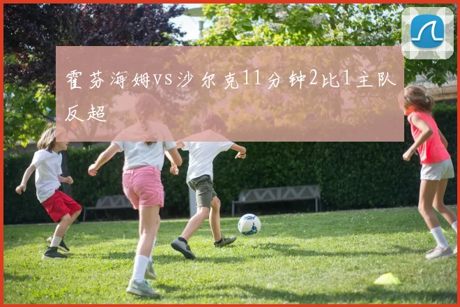霍芬海姆vs沙尔克11分钟2比1主队反超